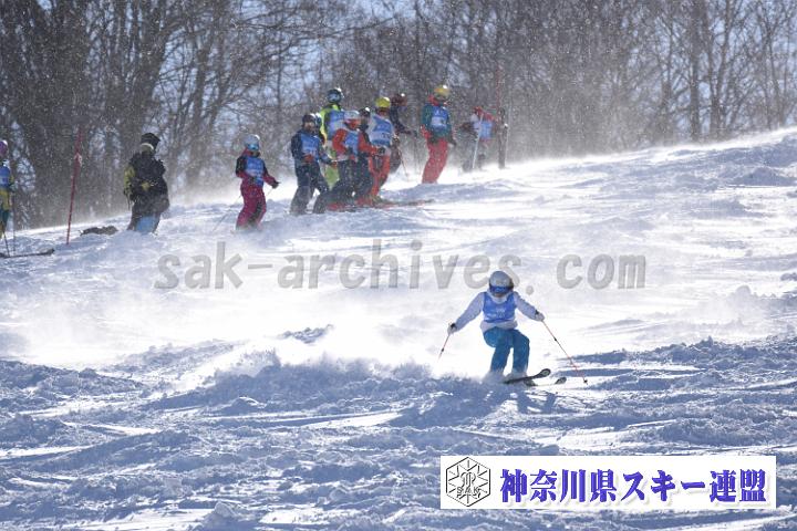 20190127_111718_1.jpg