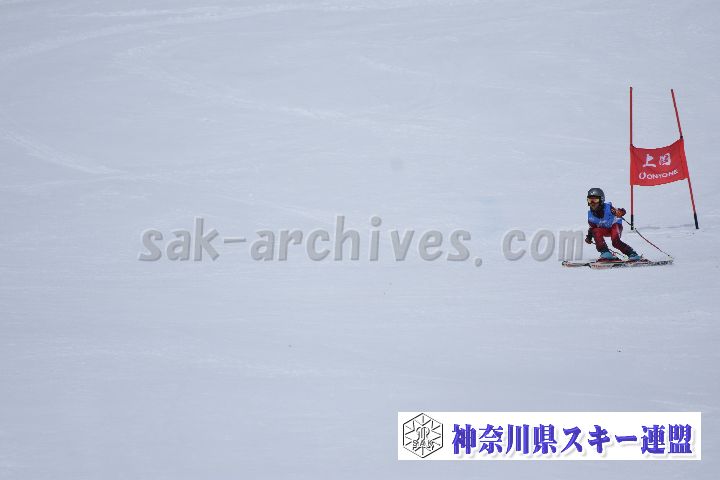 190303_115649_0.jpg
