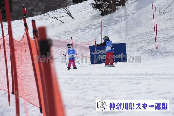 190303_134312_4.jpg