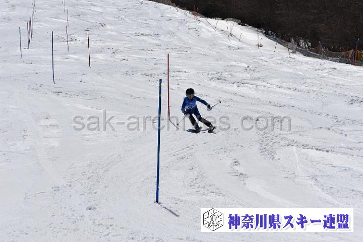 190406_124634_0.jpg
